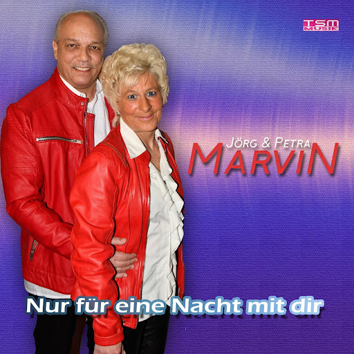 Nur für eine Nacht mit dir
